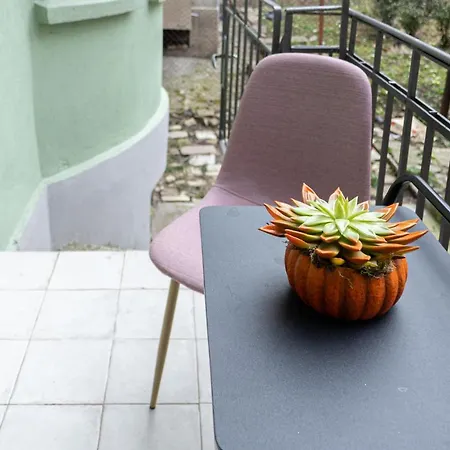 Apartment Garden - A Haven In Sofia's Heart Sofia
